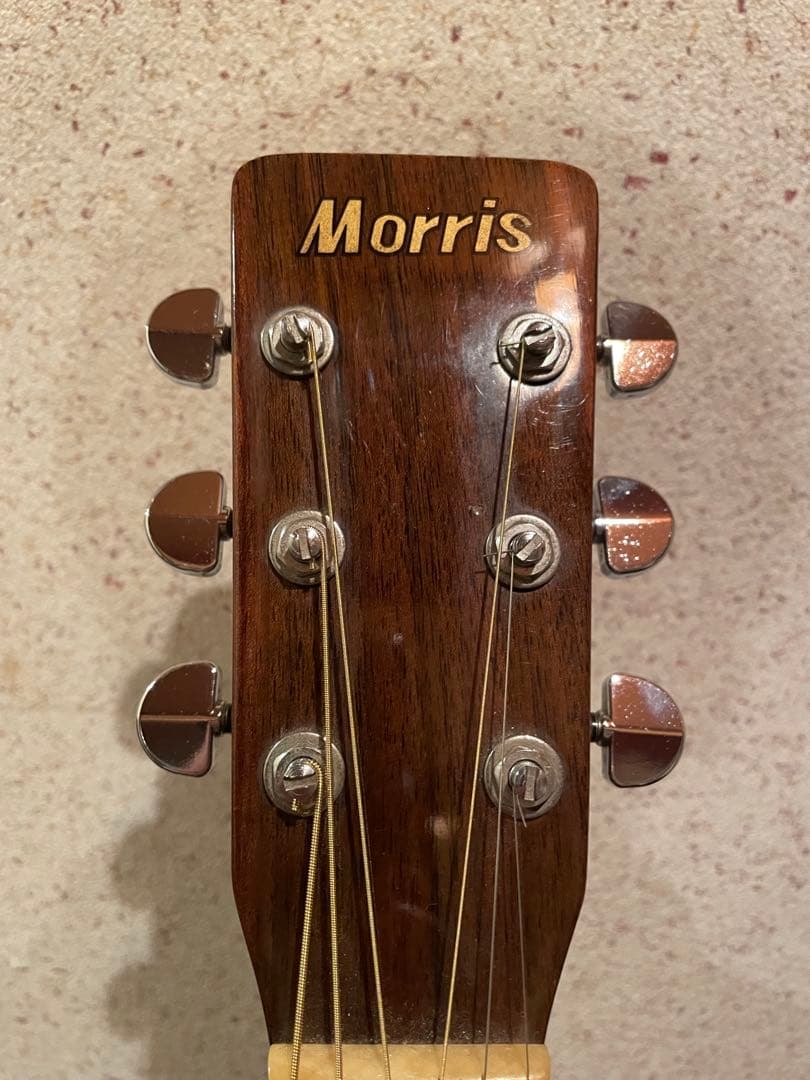 Morris MD-502/L.R.Baggsピックアップ付き