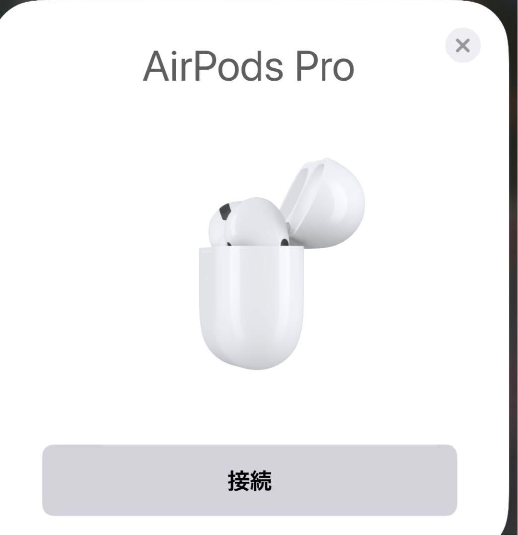 Apple AirPods Pro 激安今日限り！