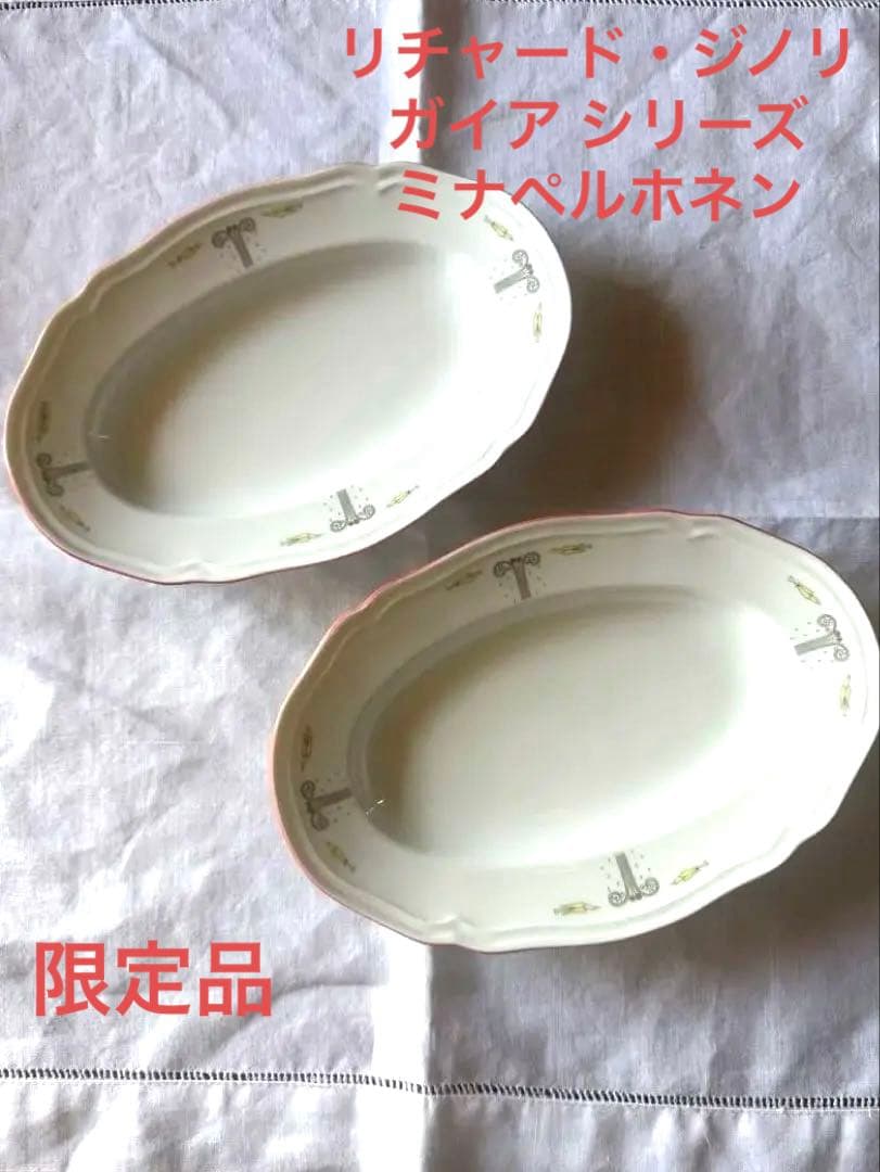 新品未使用リチャード・ジノリ ミナペルホネン ガイア 皿 2枚セット 約22cm