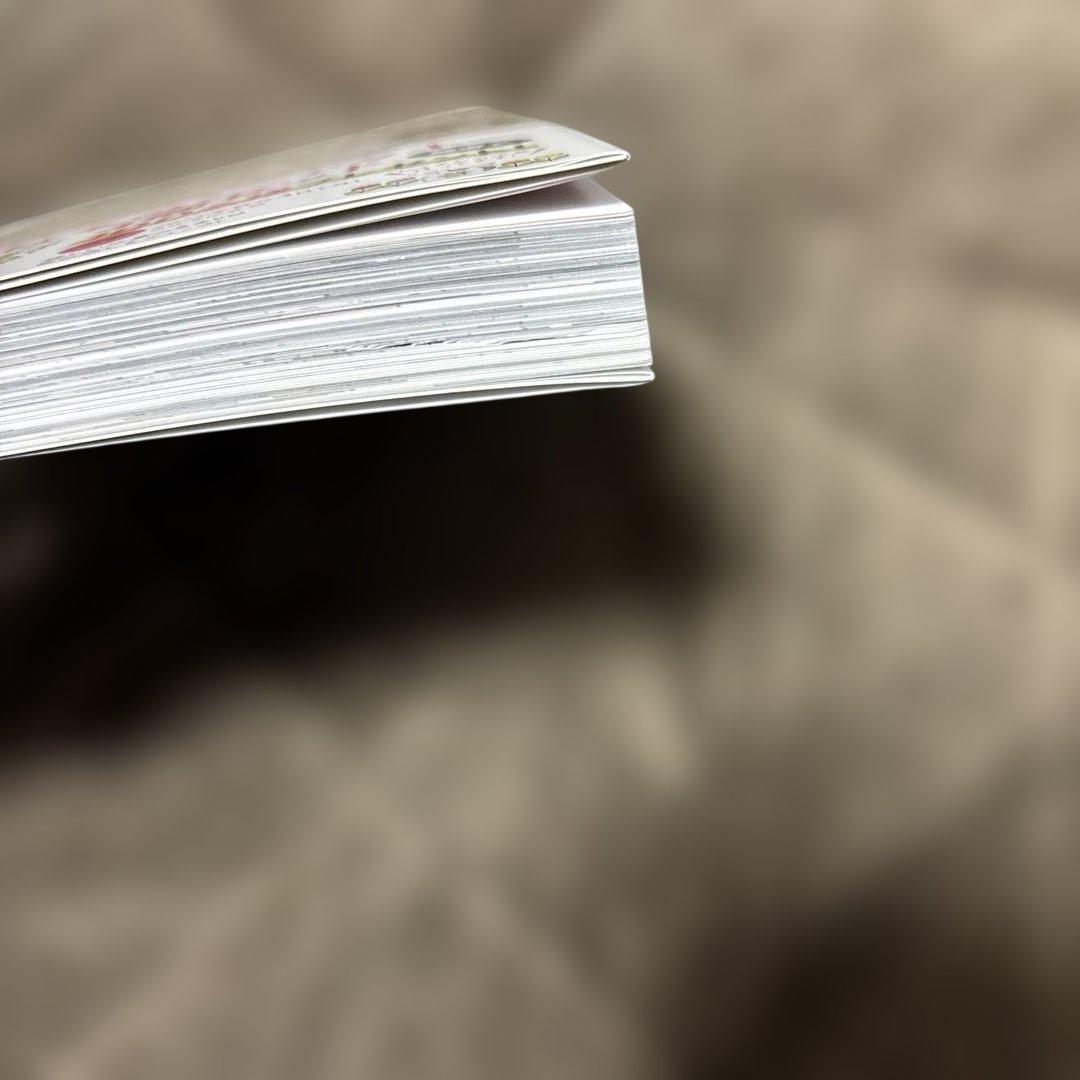 氷の城壁 全巻 1-14巻 阿賀沢紅茶 アニメ化 購入特典付き