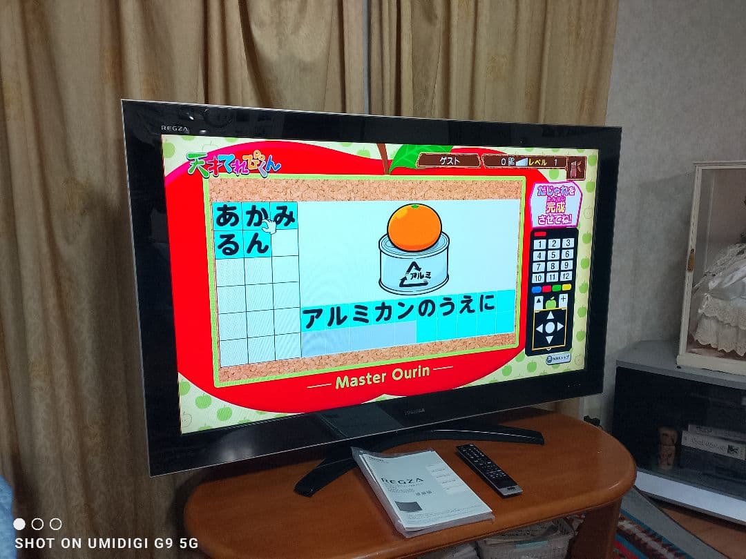 東芝　55インチ　液晶テレビ　2K HD 動作品　2009年式　愛知県豊田市