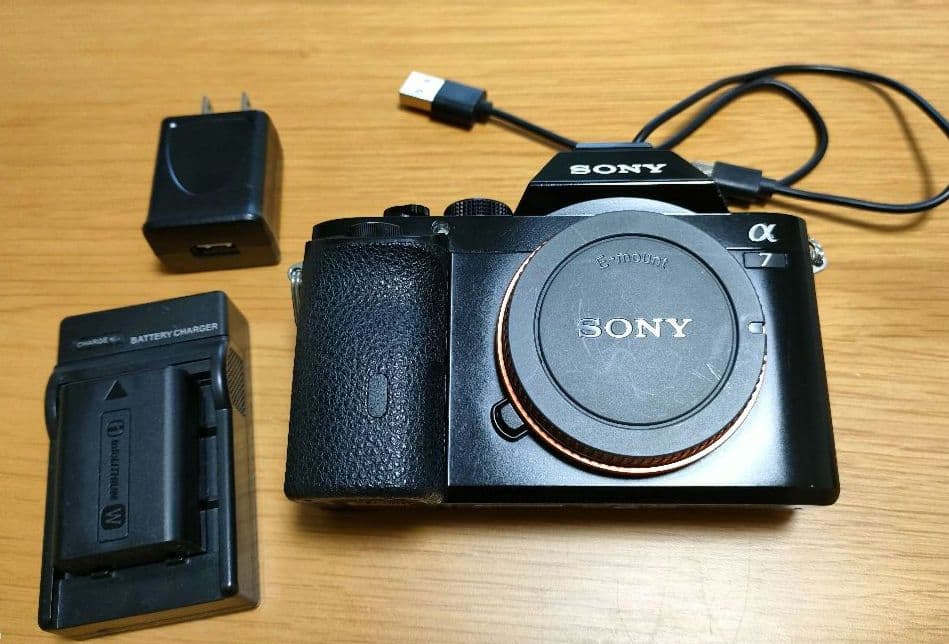 SONY　α7　ショット数11,140枚(作例あり)