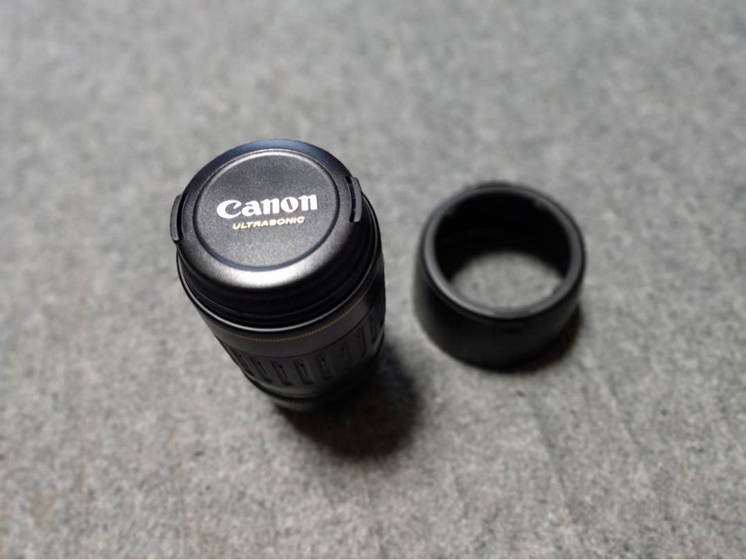 Canon EF 100-300 mm 望遠ズームレンズ