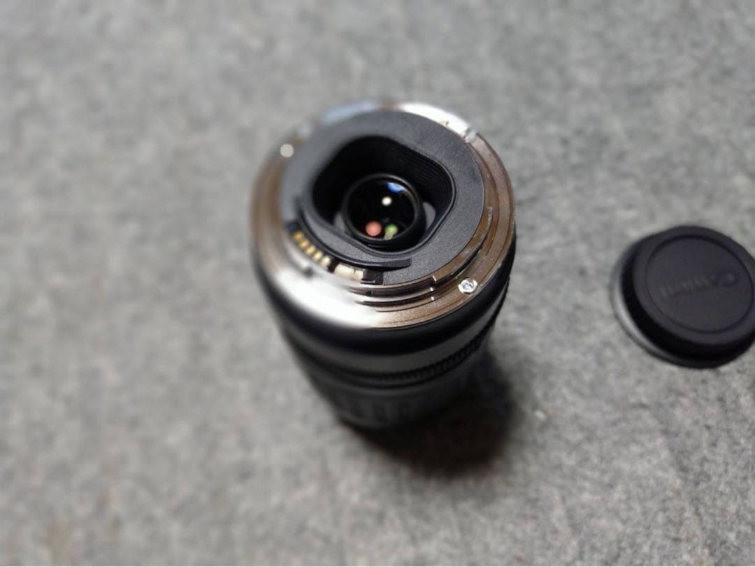 Canon EF 100-300 mm 望遠ズームレンズ