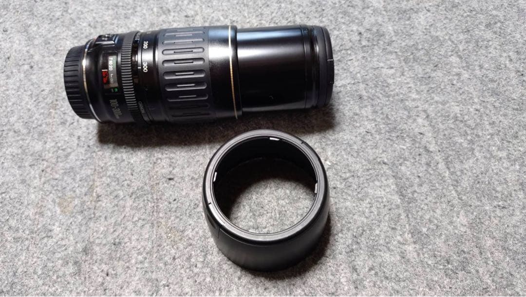 Canon EF 100-300 mm 望遠ズームレンズ