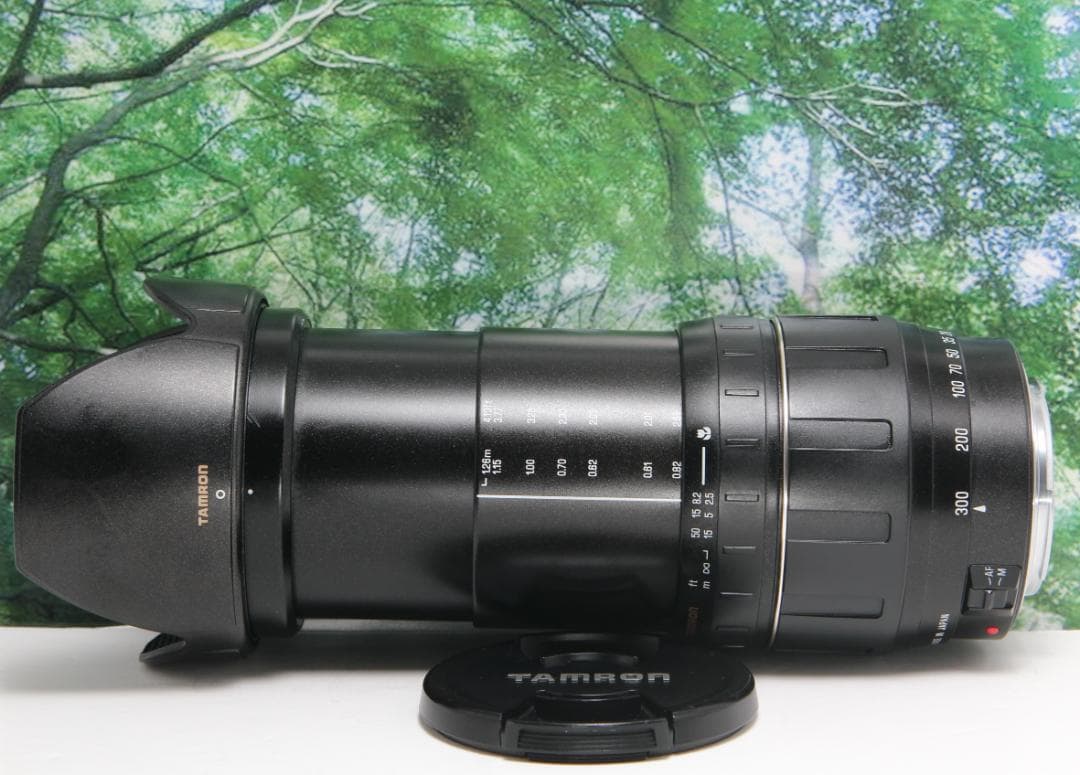 ❤超便利な1本♪TAMRON 28-300mm LD canon用❤