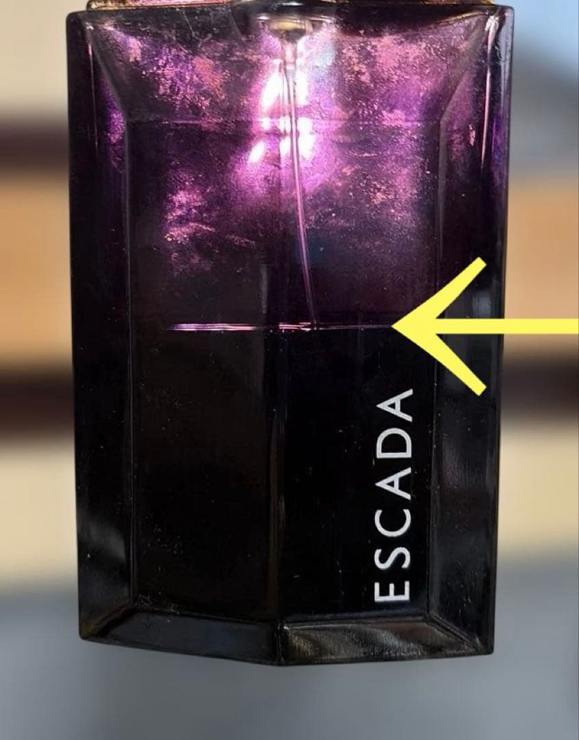 【廃盤・希少】エスカーダ マグネティズム フォーメン オードトワレ 100ml