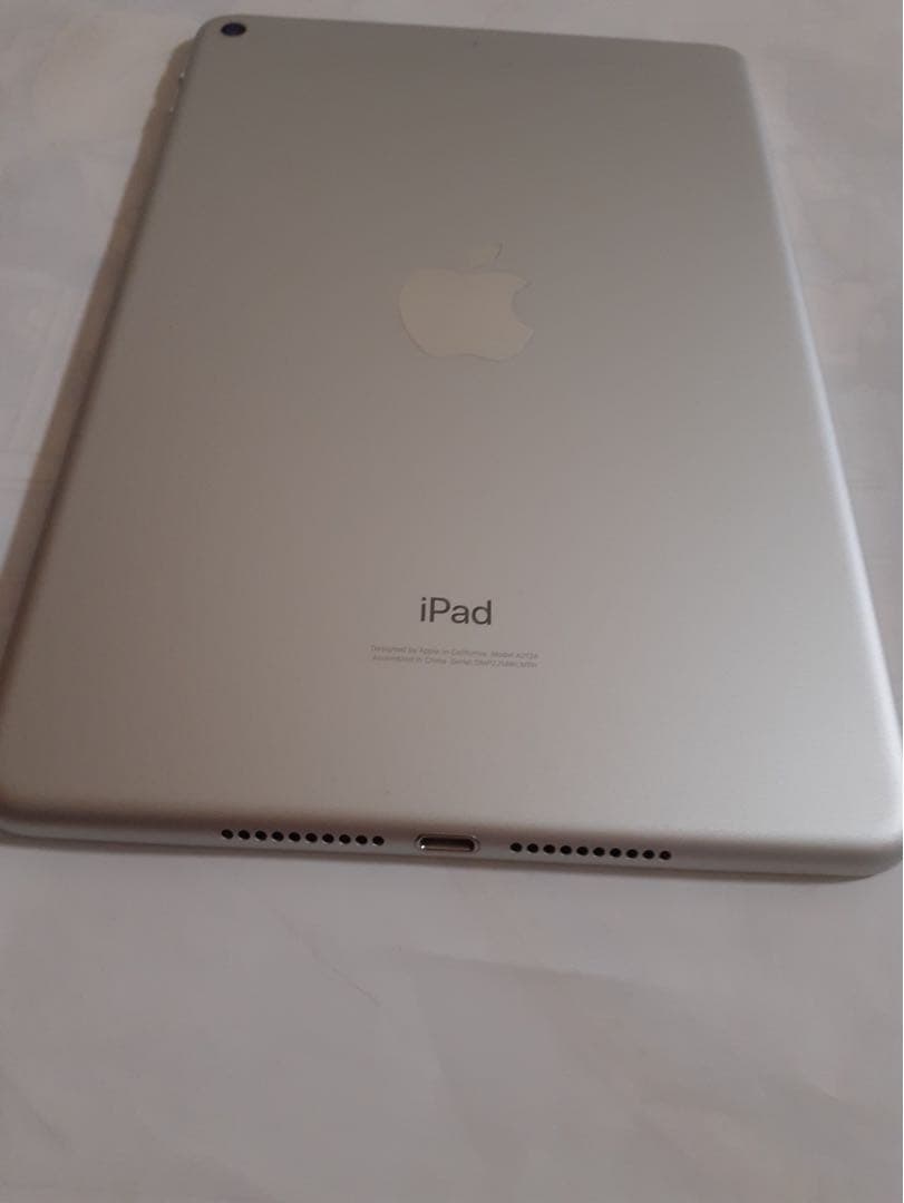 iPad mini 5 256GB Wi-Fi + cellular シルバー