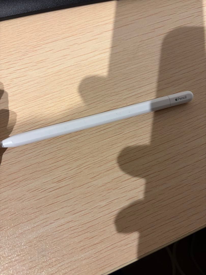 Apple Pencil (USB-c) typeC タイプC 純正
