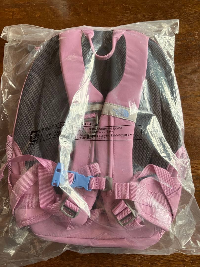 THE NORTH FACE リュック スモーキーグレープ 15L