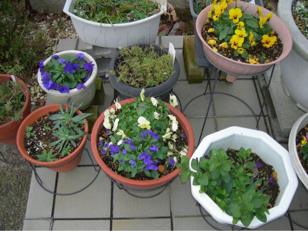 ☆動作OK Nikon coolpix P1 バッテリー&充電器&SDカード付き