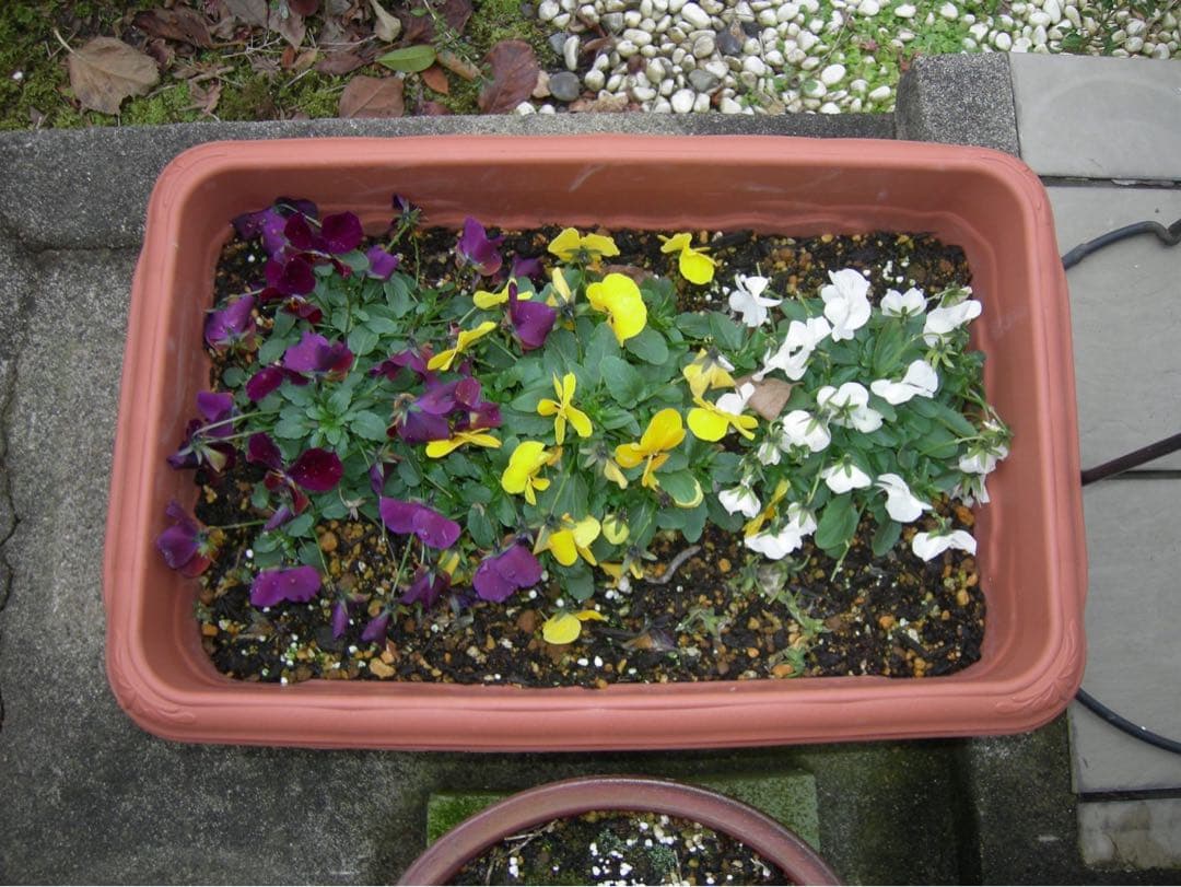 ☆動作OK Nikon coolpix P1 バッテリー&充電器&SDカード付き