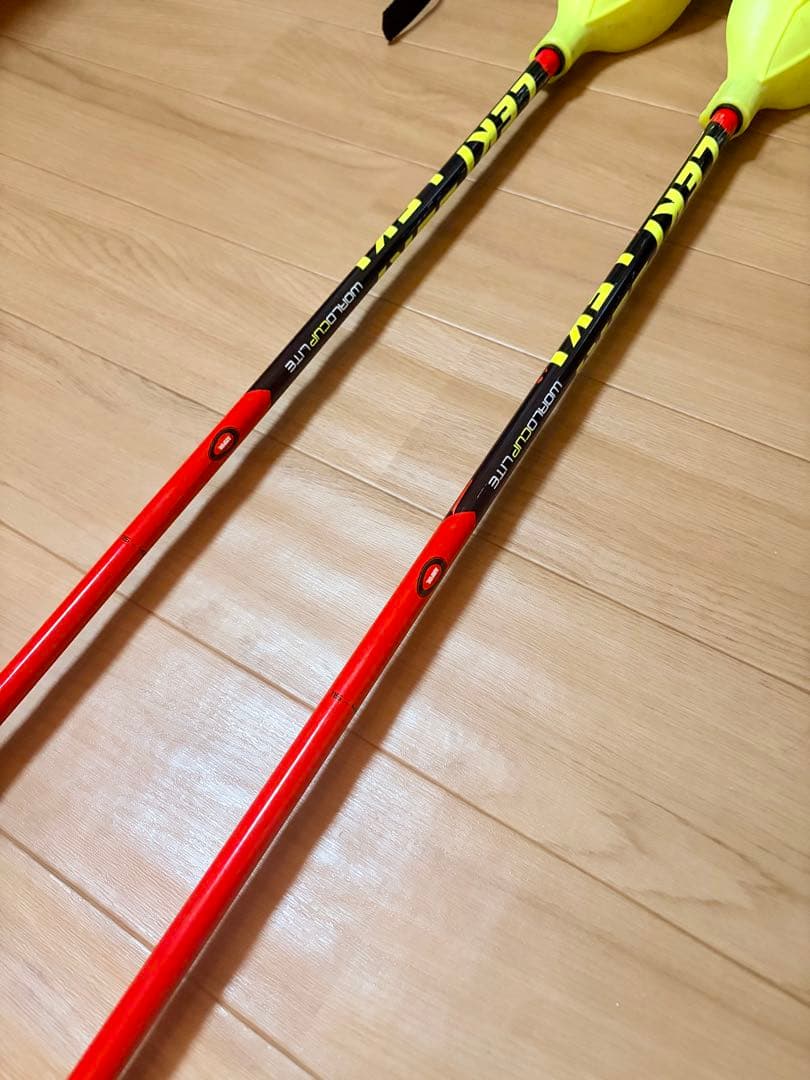 LEKI・ストック115cm(パンチガード付き)