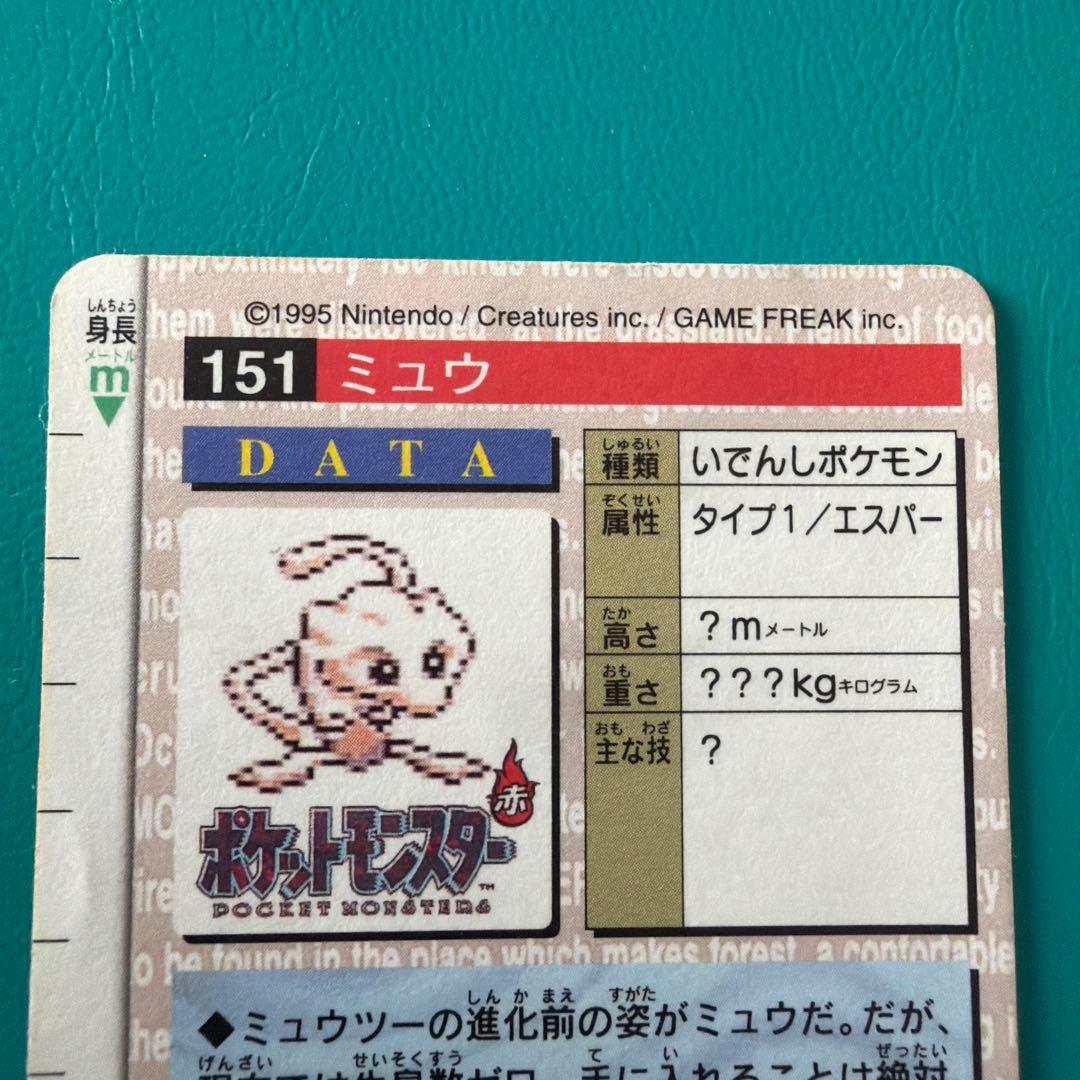 ポケモンカード　ミュウツー ミュウ　カードダス　美品