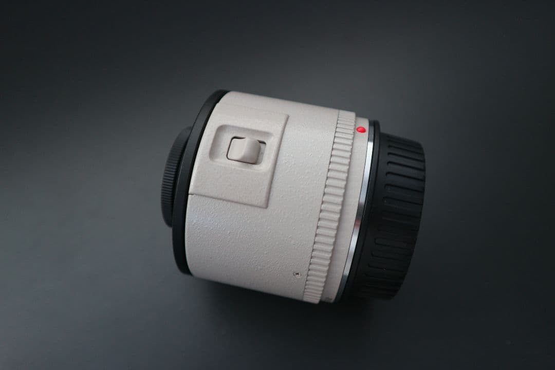 レンズ(単焦点) Canon EXTENDER EF 2x