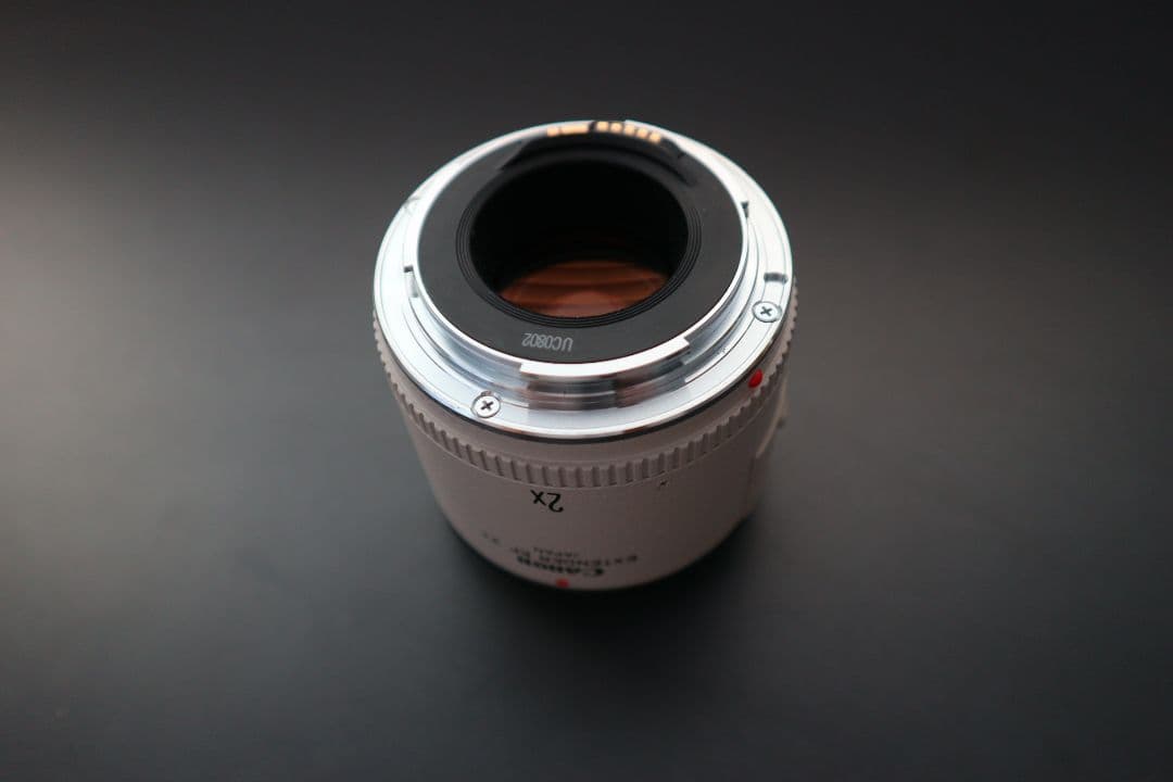 レンズ(単焦点) Canon EXTENDER EF 2x