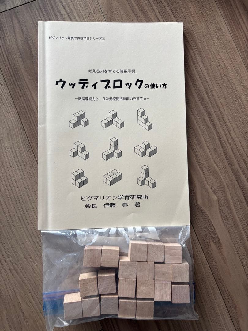 ピグマリオン8点セット　はまキッズ