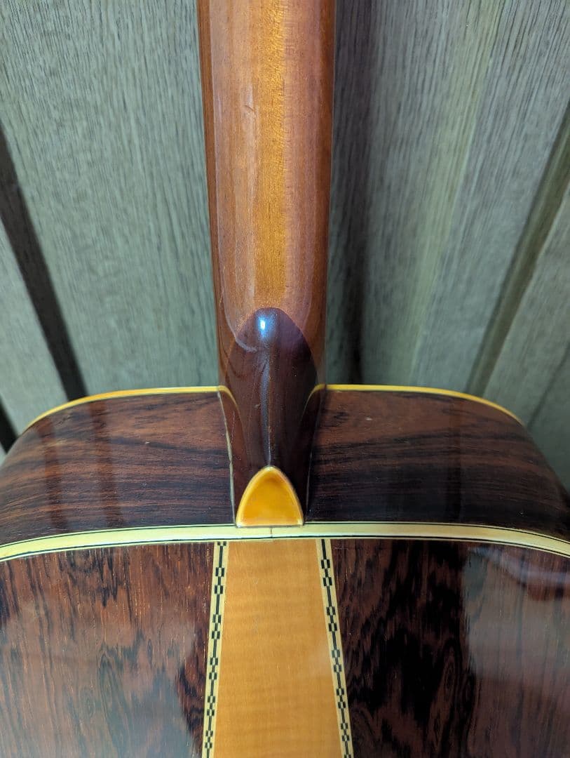 ♪Aria W-350・ハカランダ・トップ単板?♪