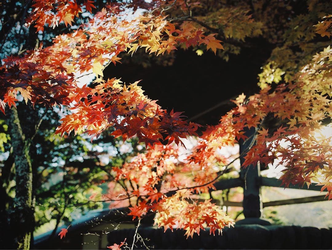 pentax645 ボディ　レンズ　フィルム4本
