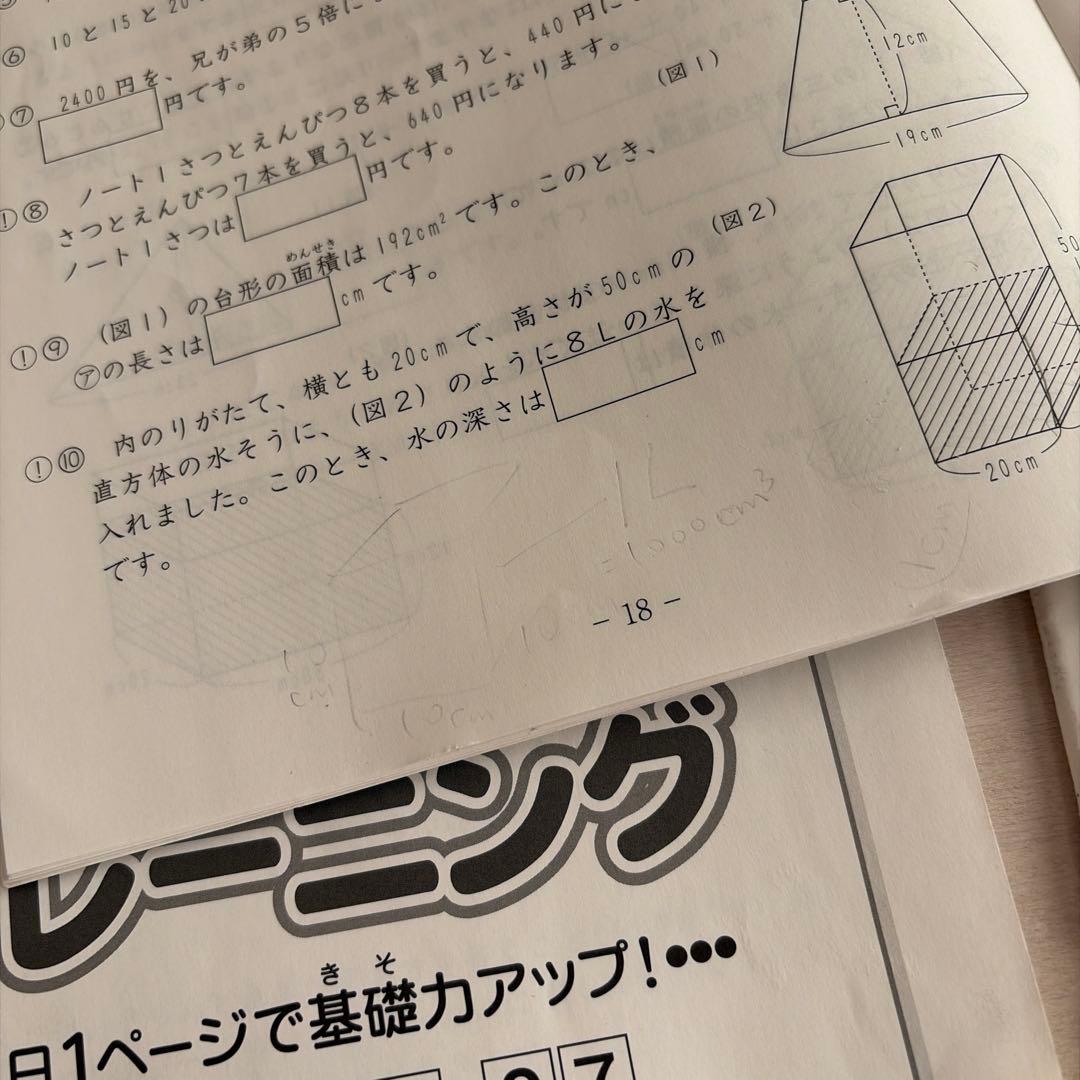 SAPIX 基礎力トレーニング　4年　1年分　書き込みなし