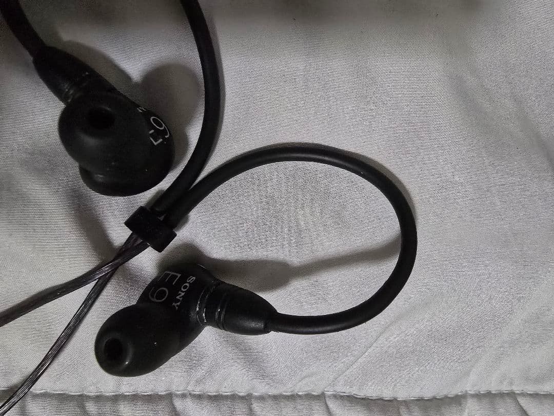 SONY INZONE E9 NW-A306 ウォークマン　ayumi様まとめ。