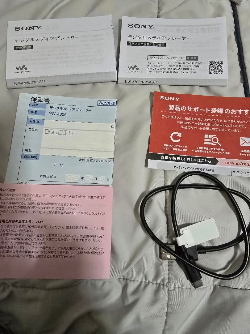 SONY INZONE E9 NW-A306 ウォークマン　ayumi様まとめ。