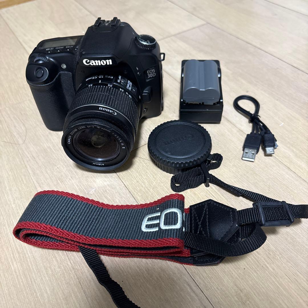 【完動品】Canon DS126131 デジタル一眼レフ