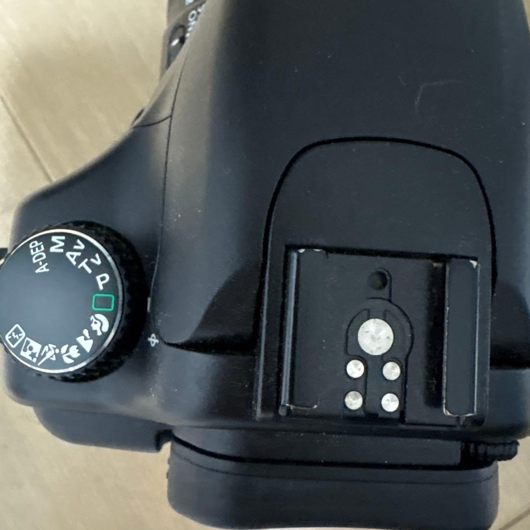 【完動品】Canon DS126131 デジタル一眼レフ