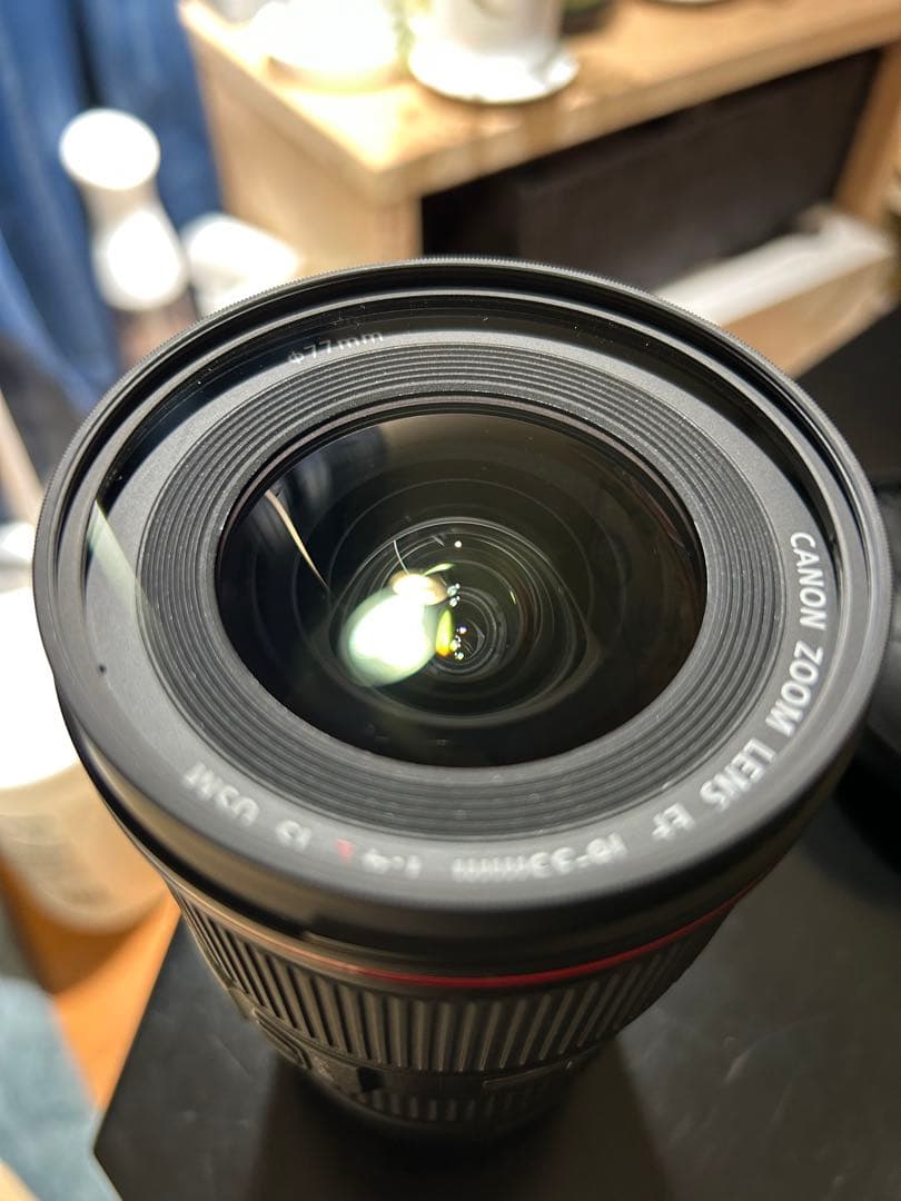 Canon EF 16-35 f4 L IS USM (+マウントアダプター)