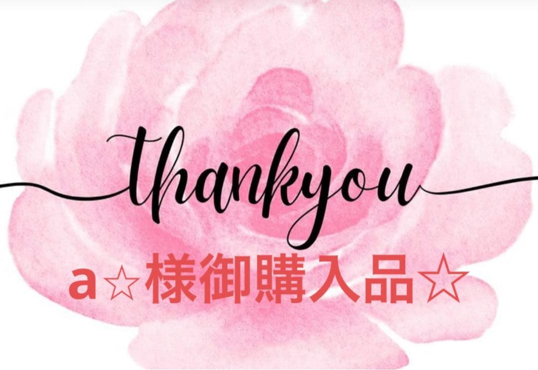a⭐︎様御購入品☆