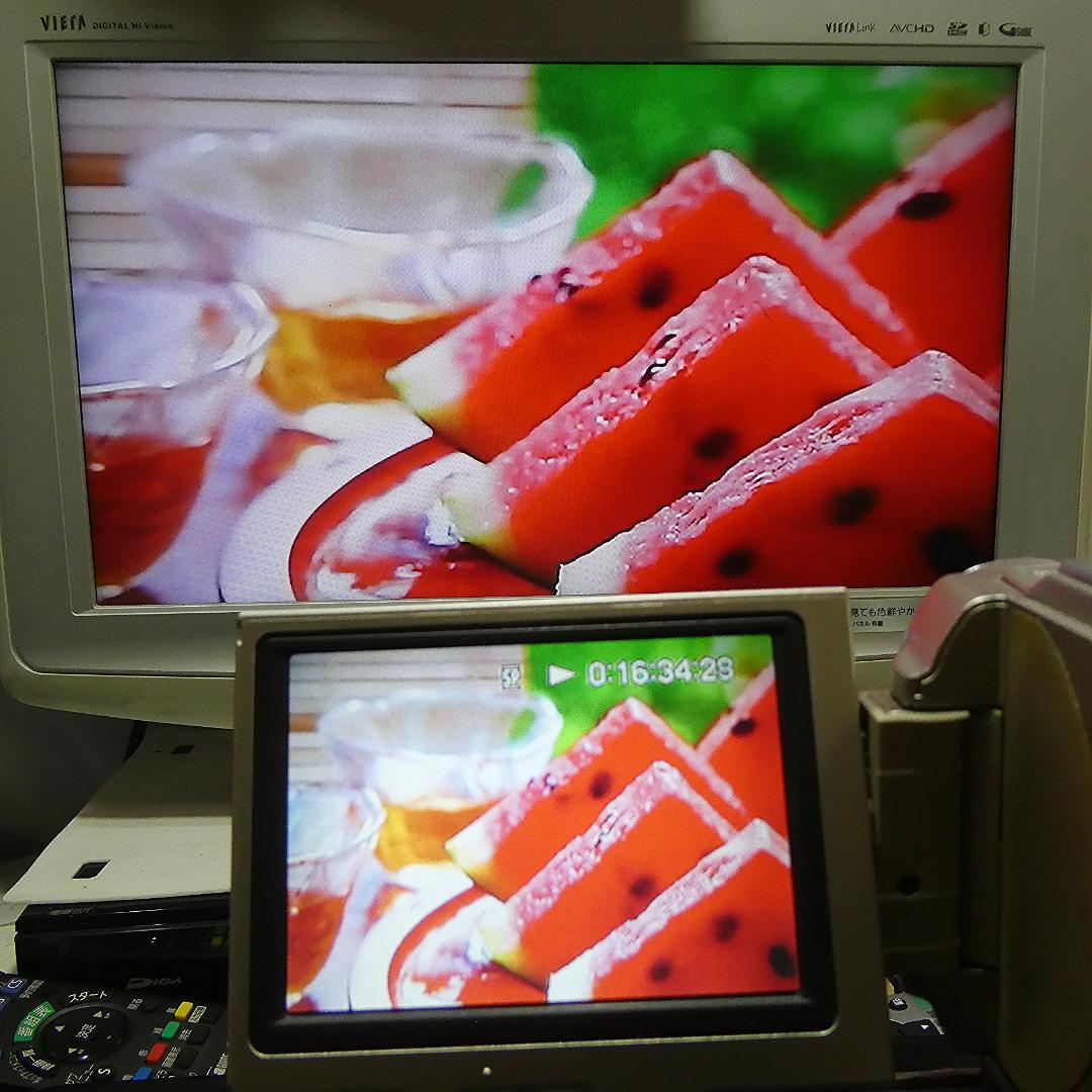 動作品ソニー DCR-TRV10 Mini DVビデオカメラDVDダビングに最適