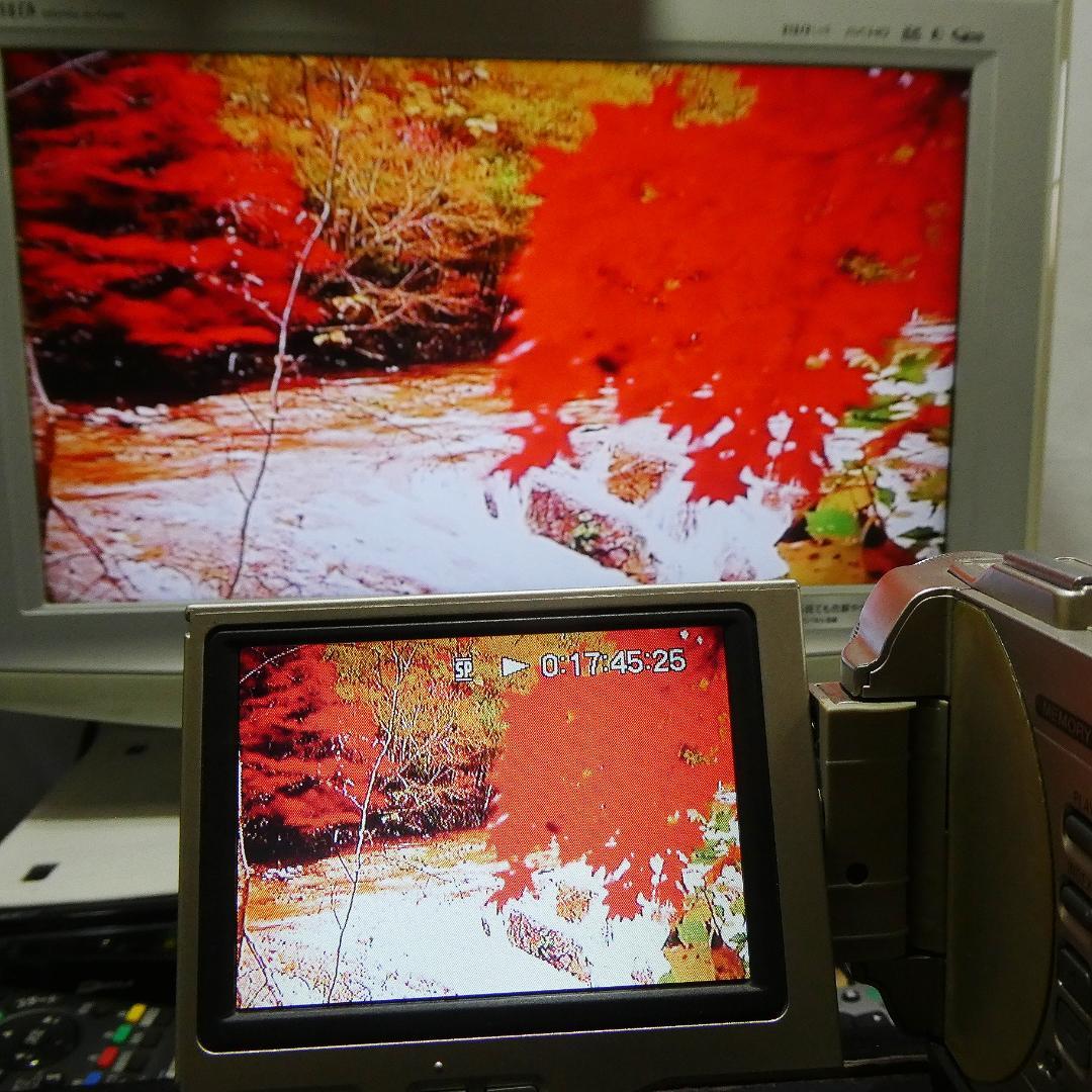 動作品ソニー DCR-TRV10 Mini DVビデオカメラDVDダビングに最適