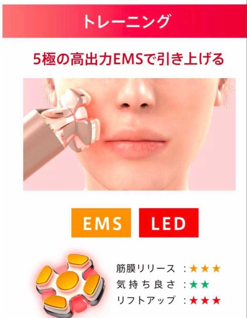 ♡ゾーガンキン ブルーム♡ ZOGANKIN BOOM