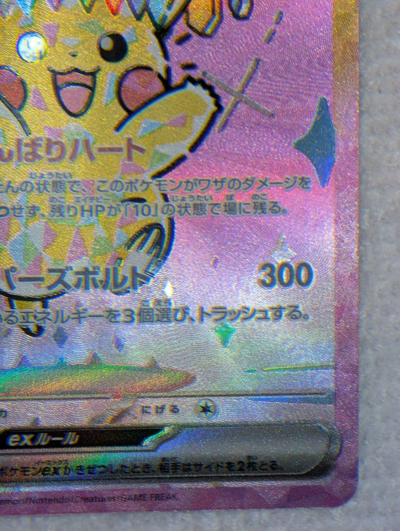 オークション確認用