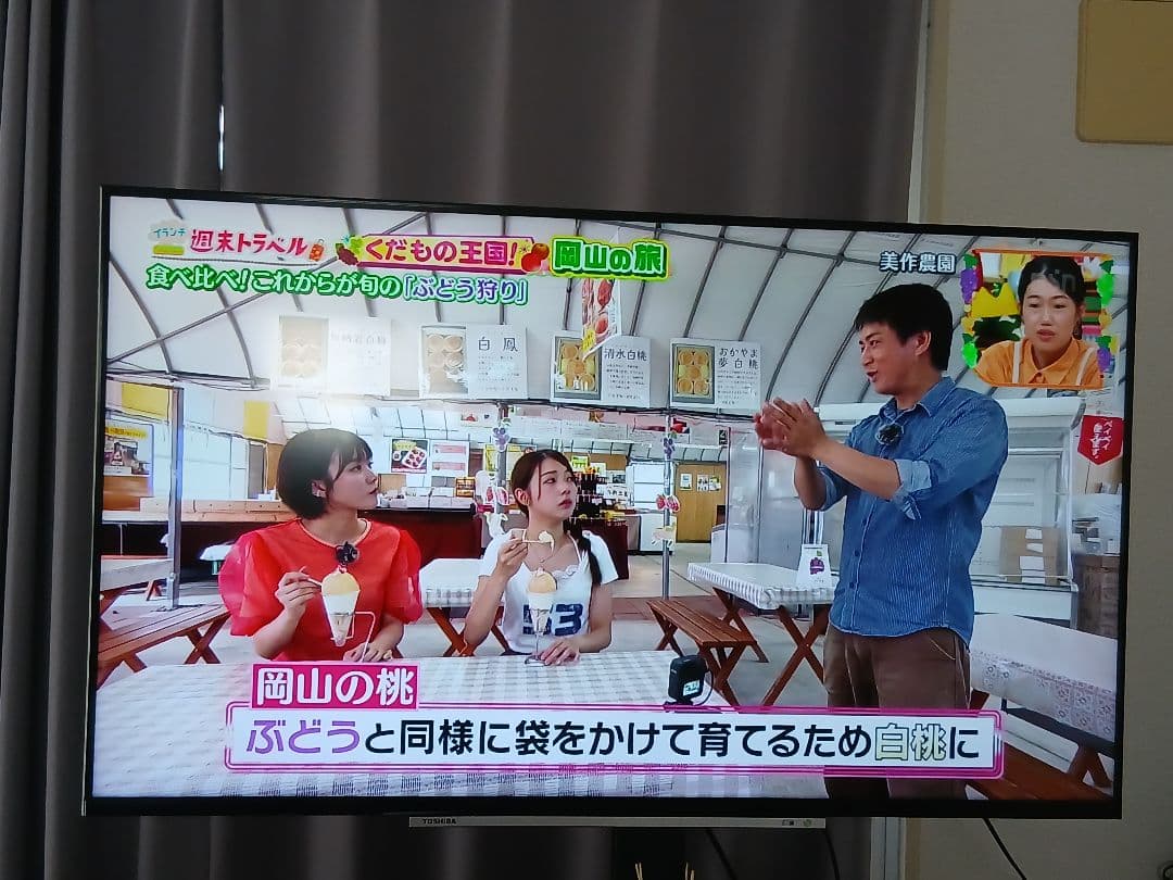 REGZA 液晶テレビ 本体 リモコン付き ジャンク