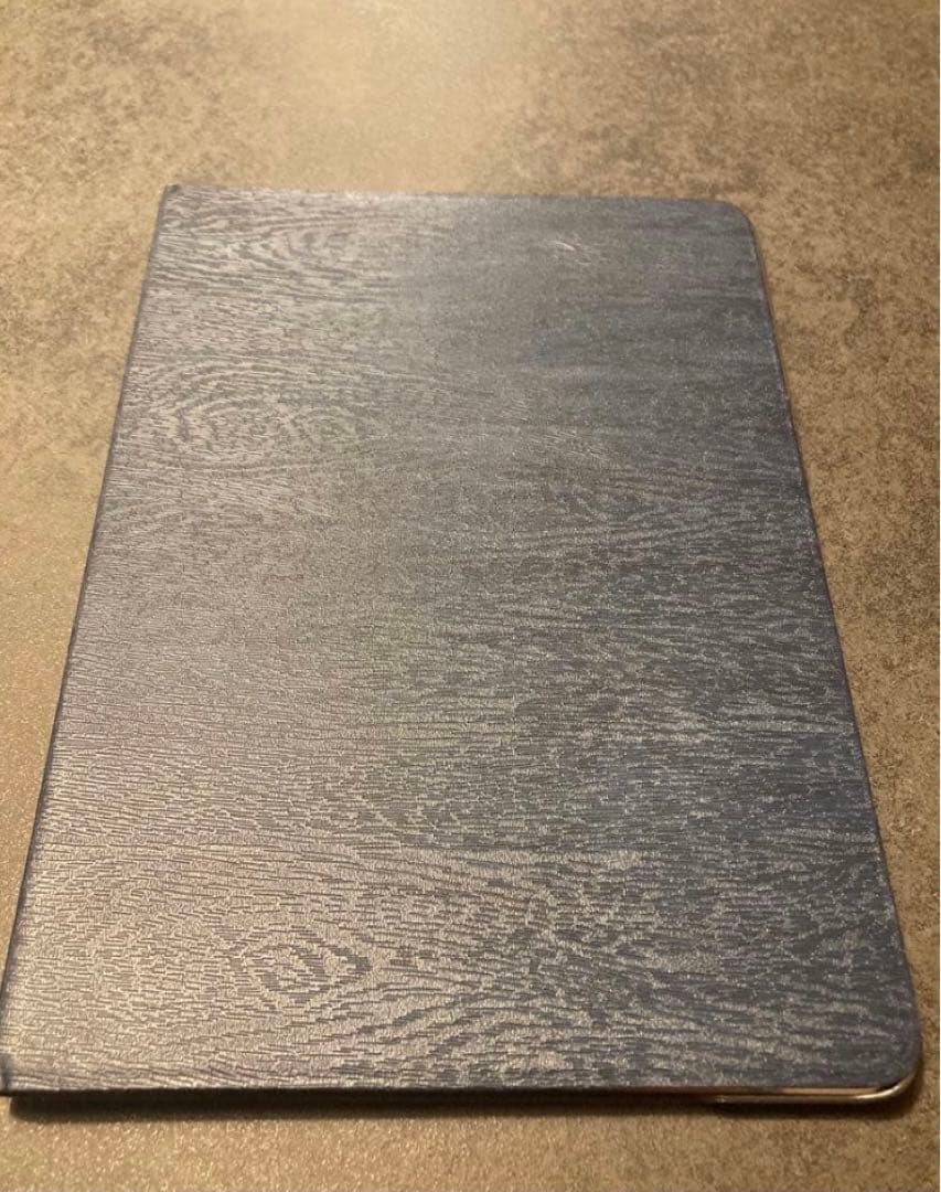 iPad Air 9.7インチ