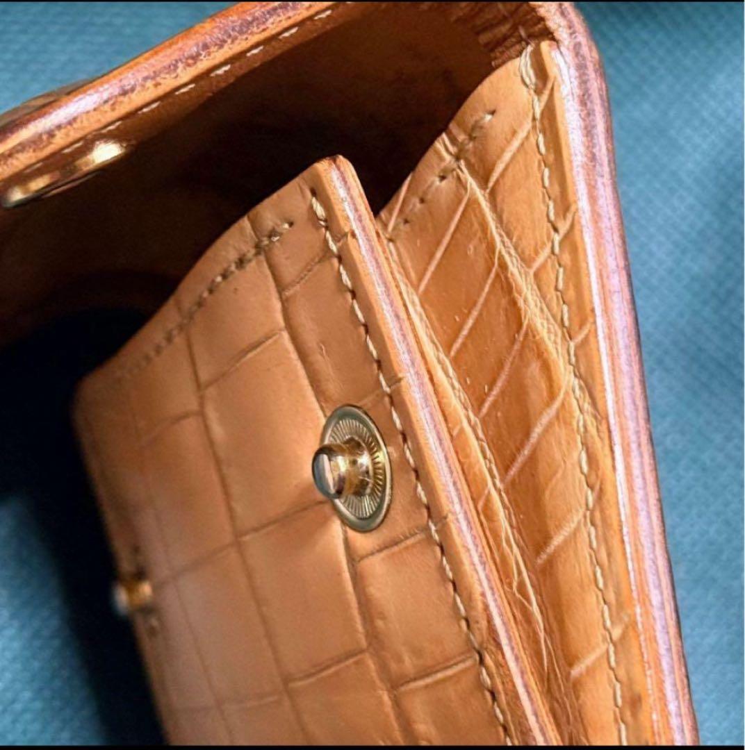 WILDSWANS SP-TONGUE ヌメクロコ ナチュラル タング