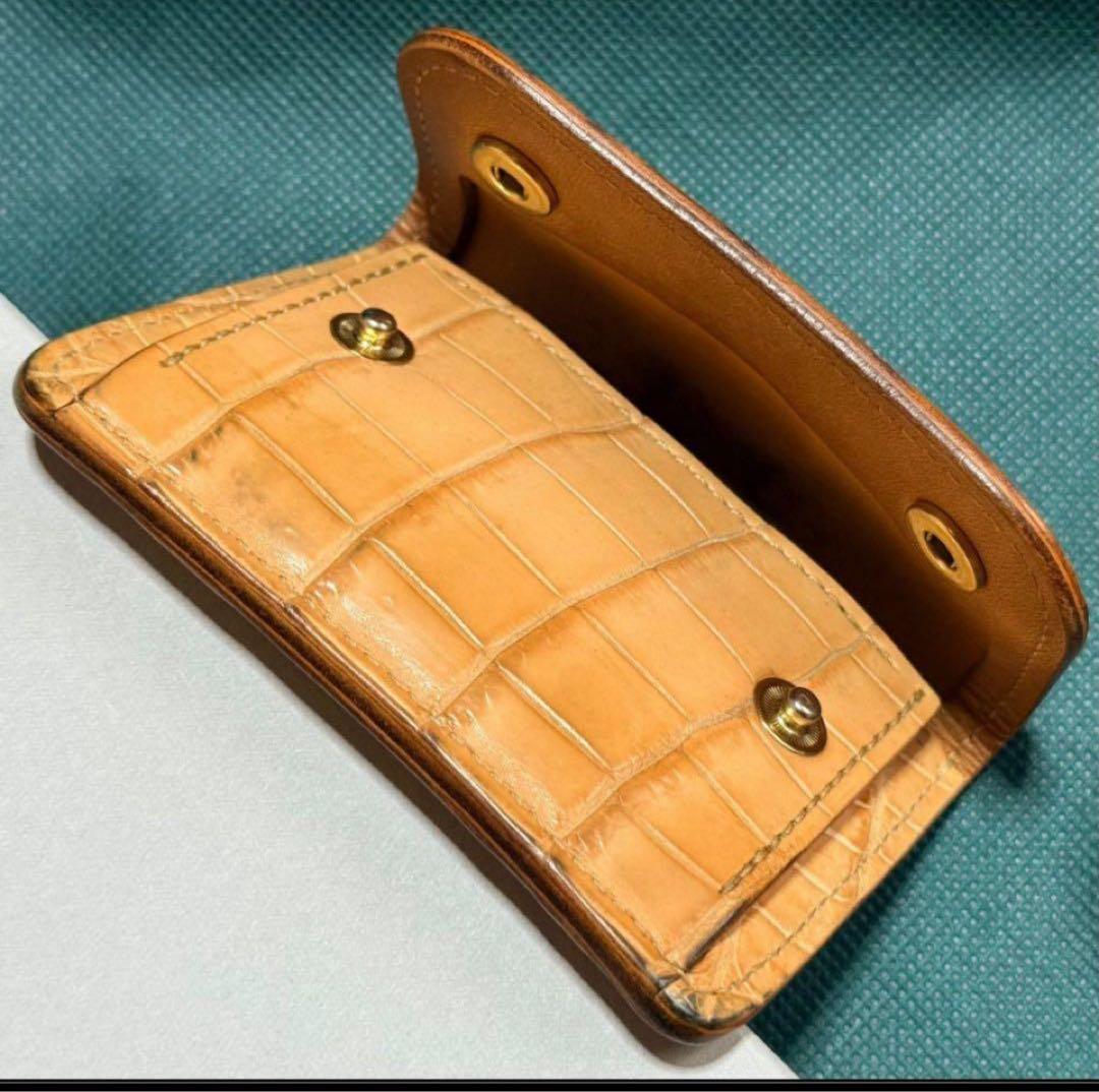 WILDSWANS SP-TONGUE ヌメクロコ ナチュラル タング