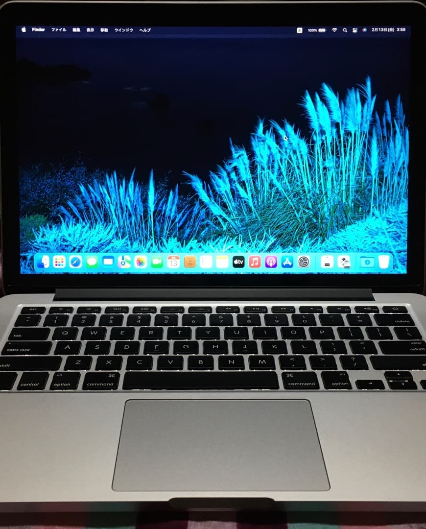 MacBook本体 Apple MacBook PRO 2015 8GB 250GB WIN11