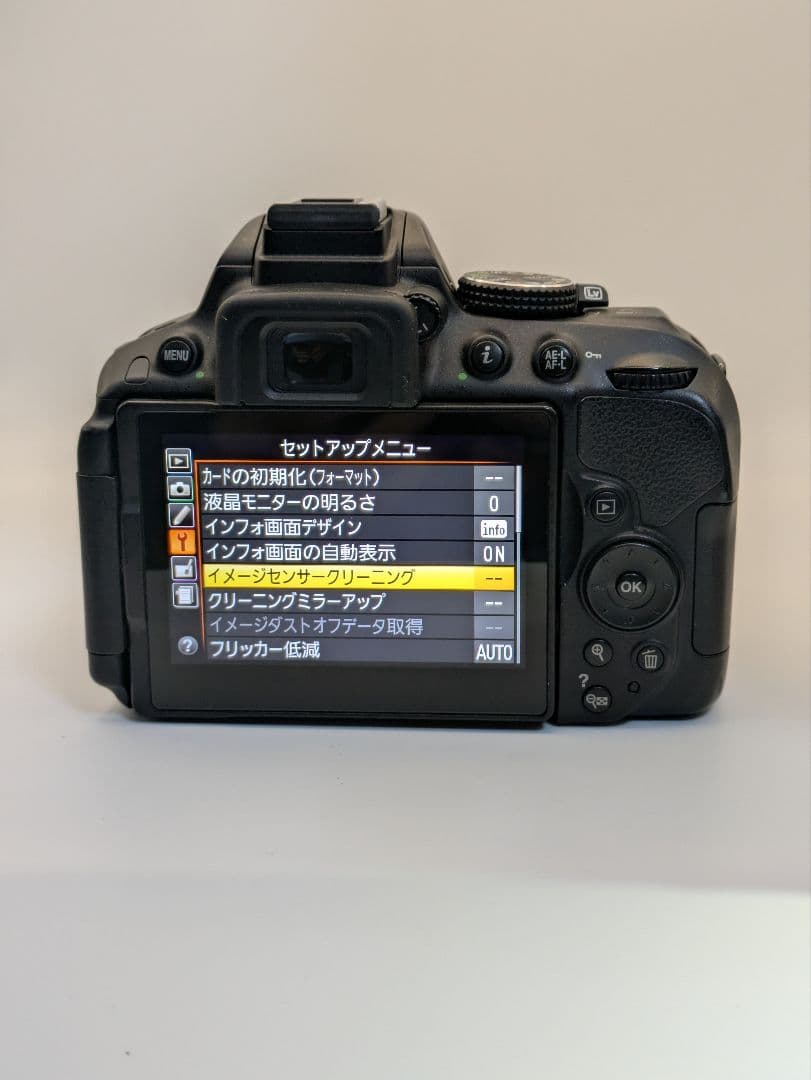 Nikon　D5300 ＋　レンズ　(18-55)