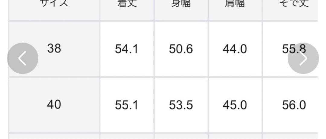 23区【洗える】エンブロイダリーニット　グレー　40L