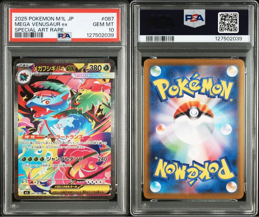 【PSA】進化ライン　3連番