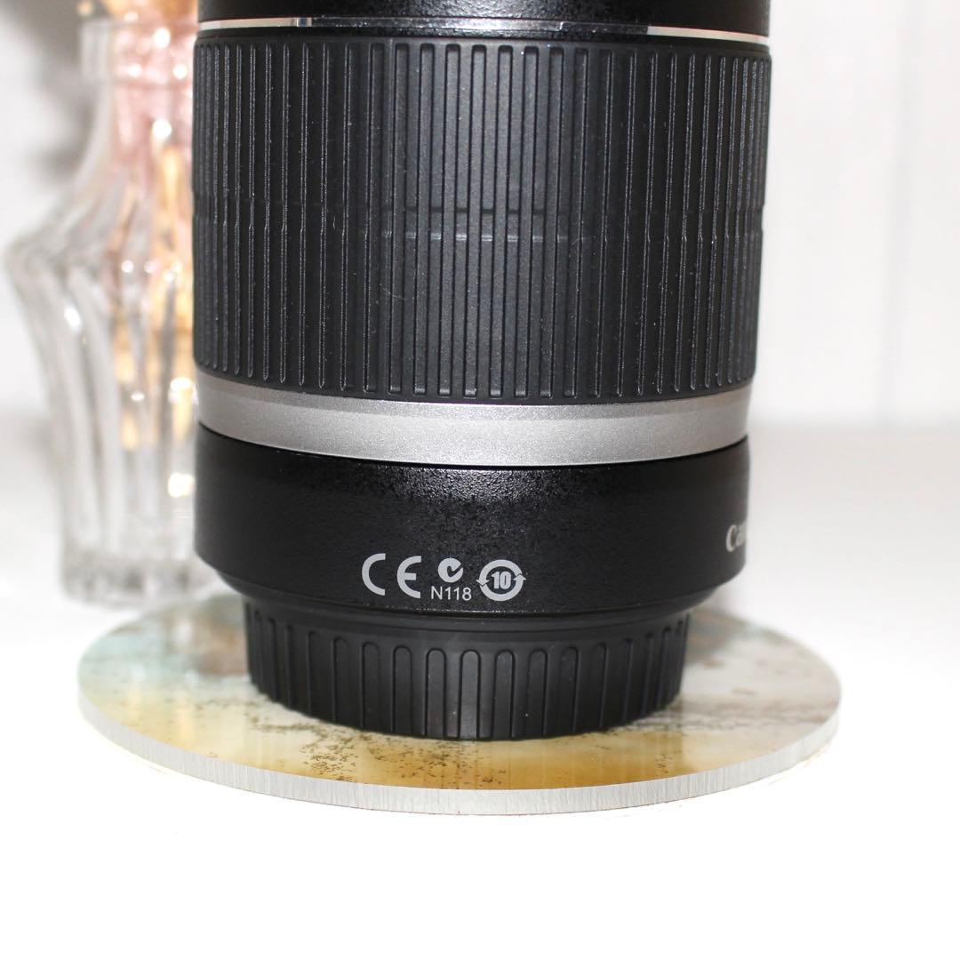 Canon 望遠レンズEF-S 55-250mm IS手ブレ補正　ズームレンズ