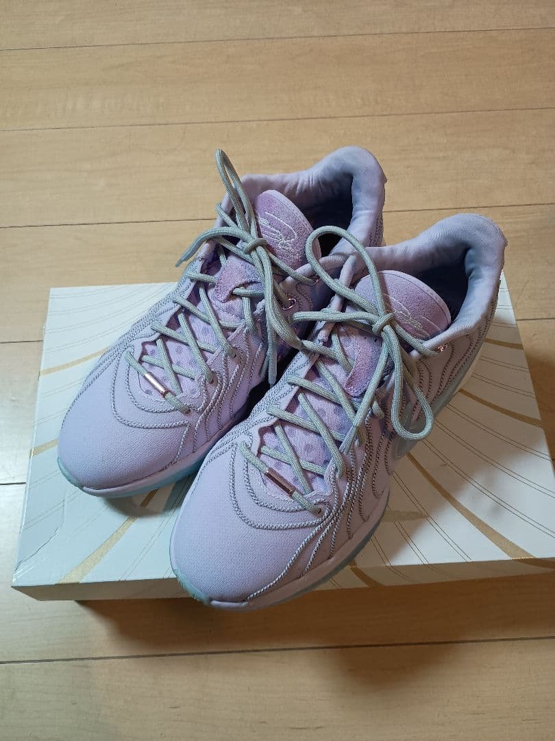 レブロン21 28cm グローバルラスト