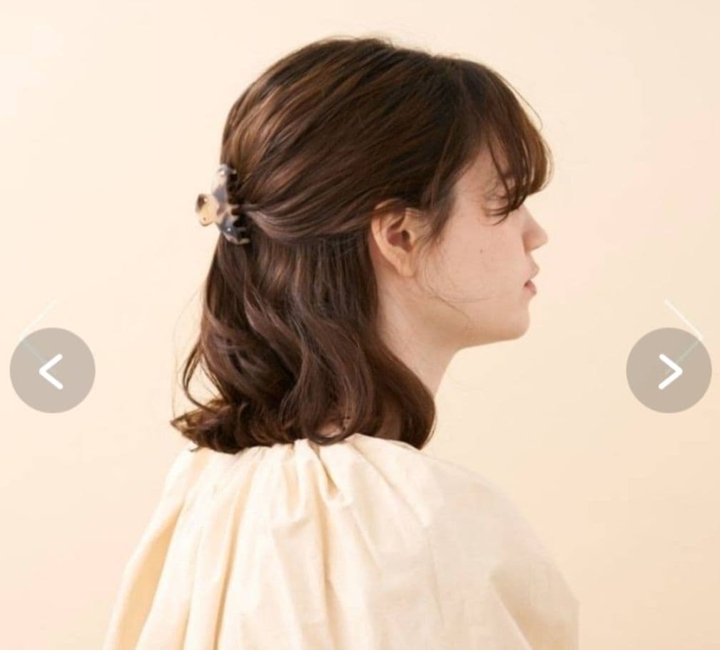 アレクサンドル ドゥ パリ Sクリップ 2.5㎝ ×6㎝