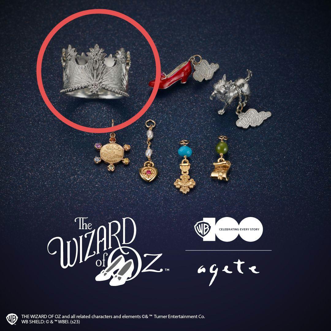 アガット　リング（WB100周年コラボ）