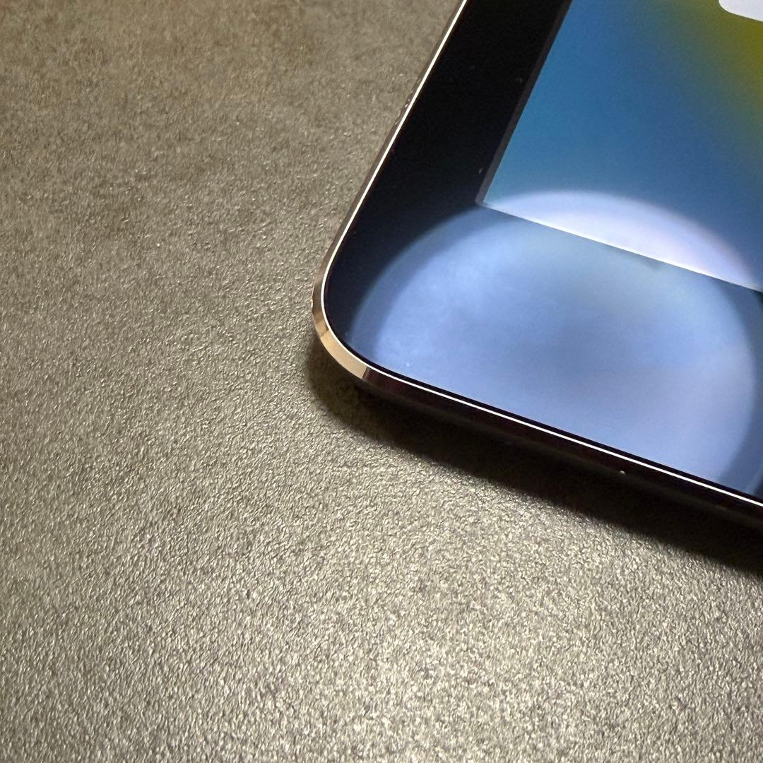 iPad Pro 9.7インチ Cellular 256GB MLQ62J/A