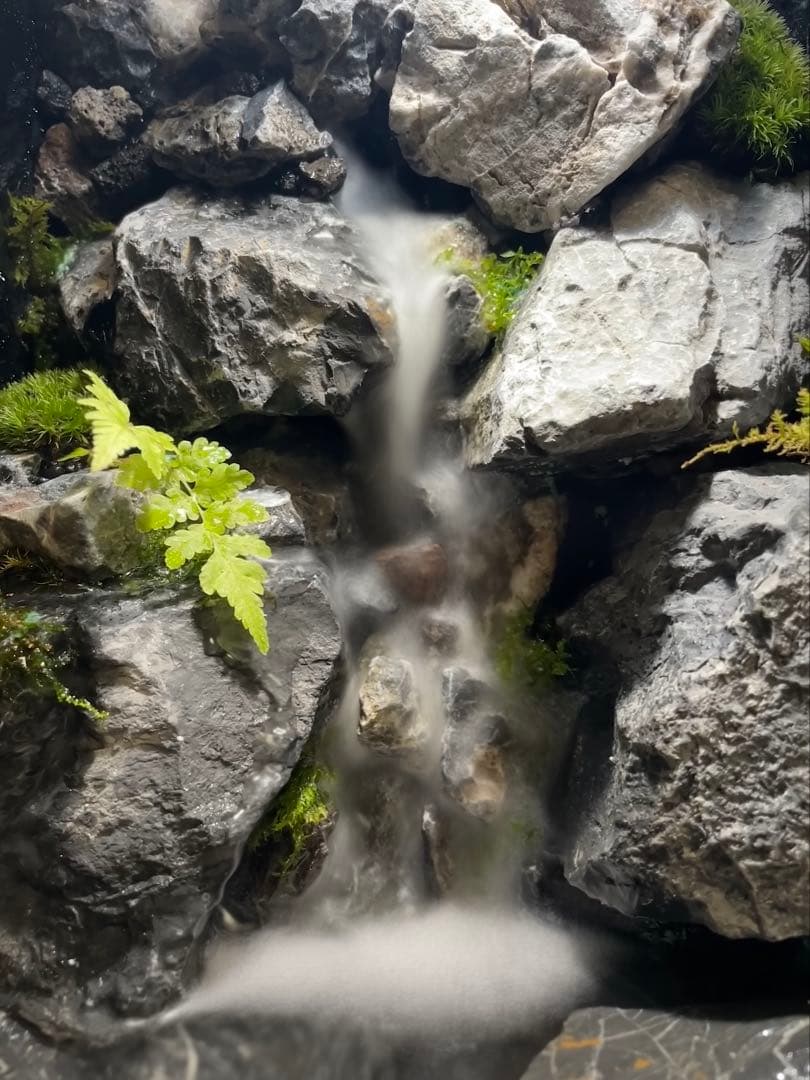 y*u様 【完成品】迫力のある大きな滝のアクアテラリウム