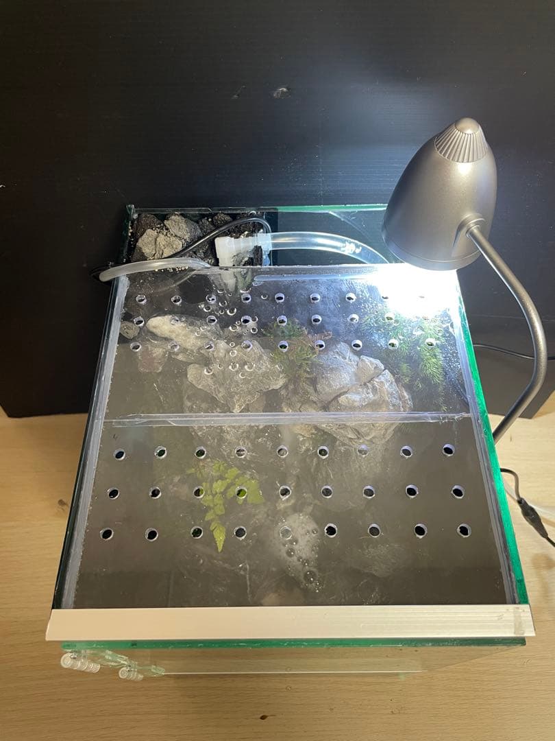 y*u様 【完成品】迫力のある大きな滝のアクアテラリウム