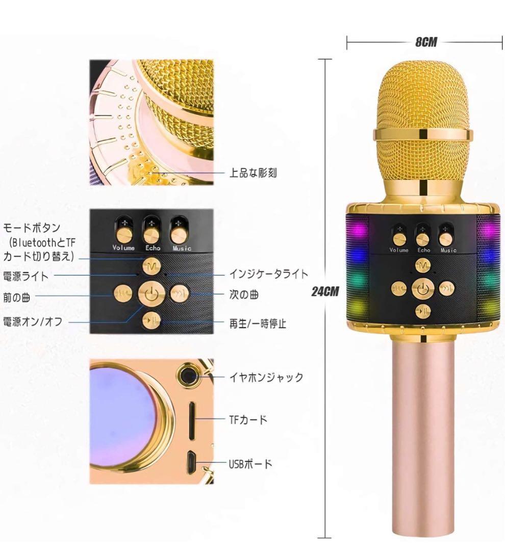 【未使用】マイク カラオケ 13900円相当 2本セット セット販売